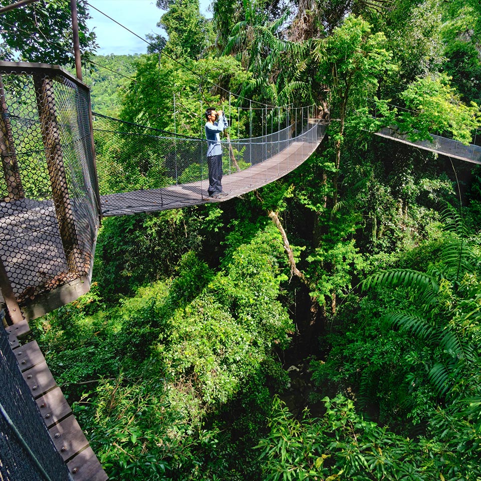 Bungaraya Island Resort Canopy Walk