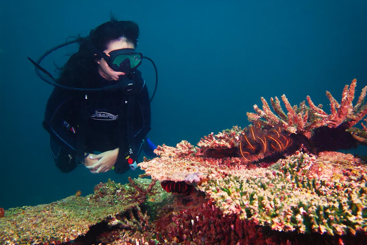 Gayana scuba diving