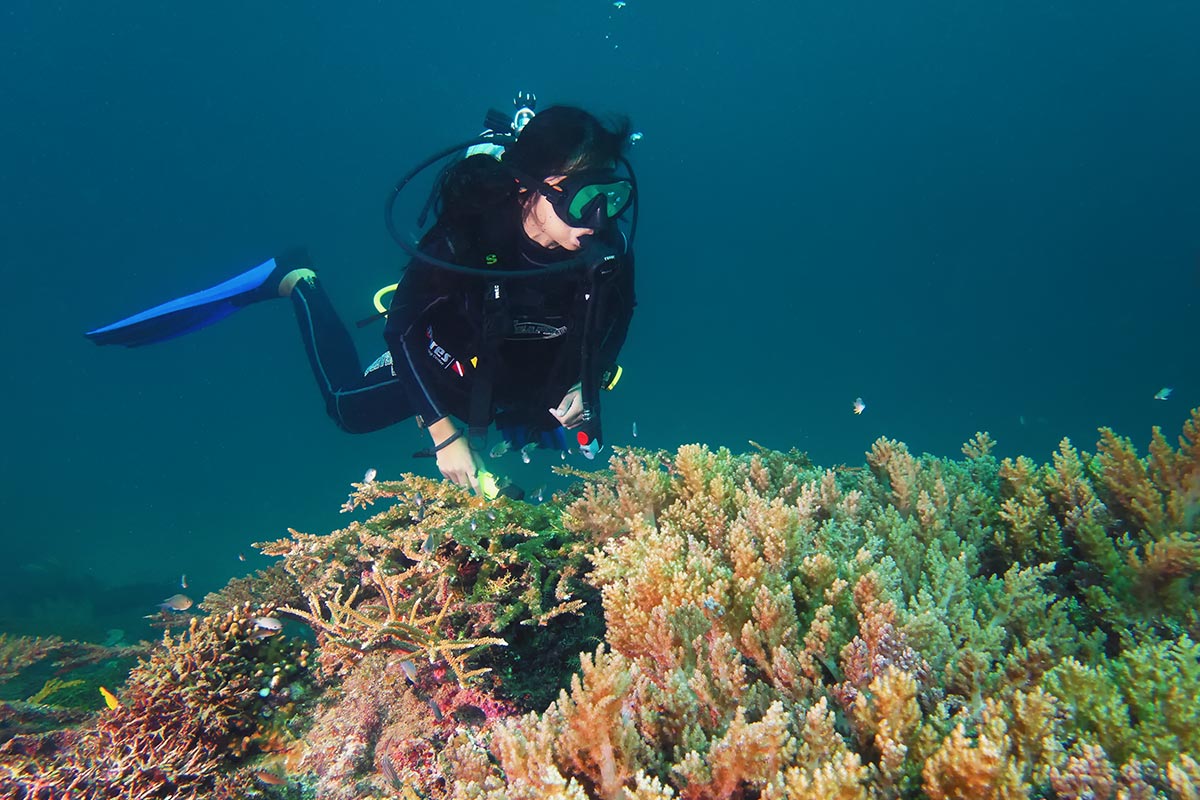 Gayana scuba diving