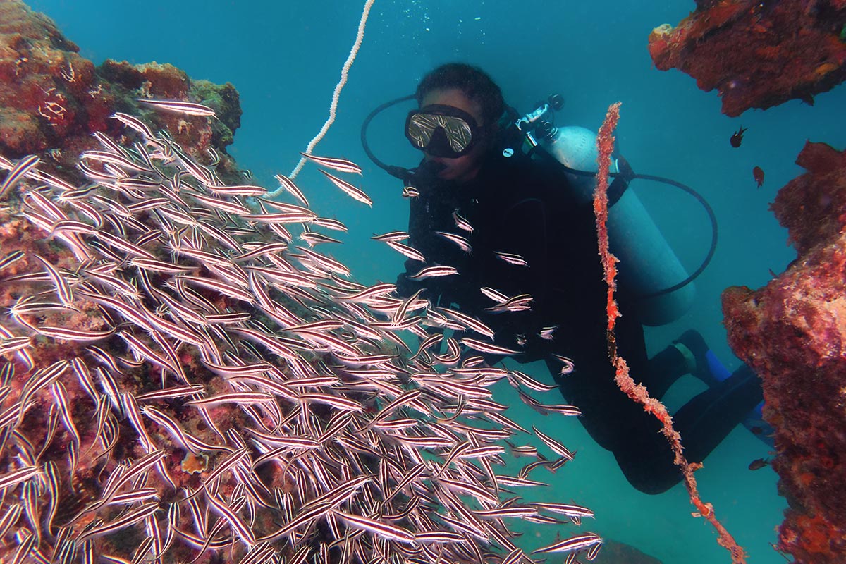 Scuba Diving