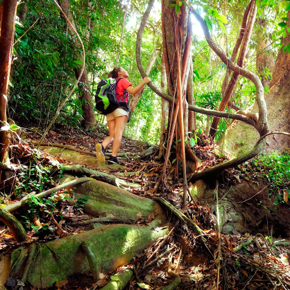 Gaya Island Jungle Trekking