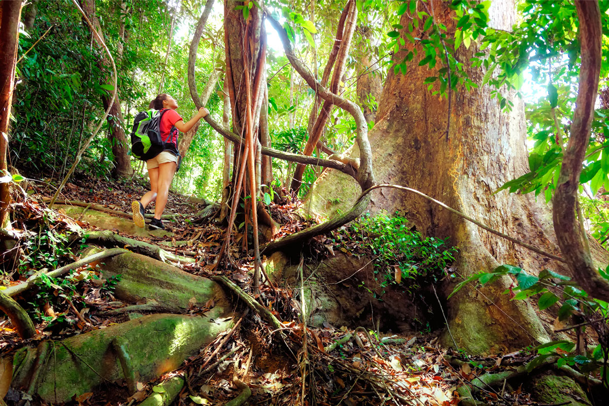 Bungaraya Island Resort jungle trekking