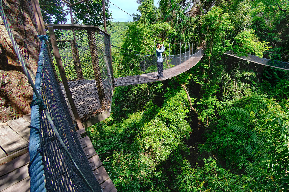 Bungaraya Island Resort canopy