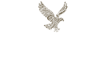 Borneo Eagle Resort logo white text