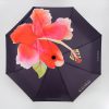 Bungaraya Umbrella